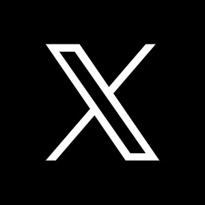 Audio and video calls arriving on X only for premium users