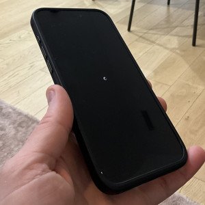 PSA: iOS 17.3 beta 2 is bricking some people’s iPhones