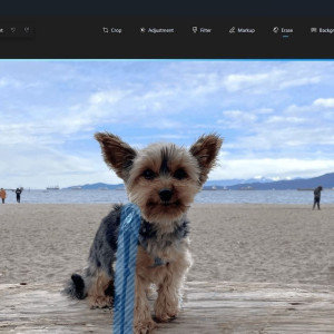 Microsoft's 'Generative Ease' AI For Windows Quickly Removes Unwanted Objects From Photos